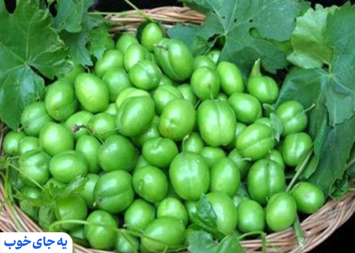 گوجه سبز شهریار